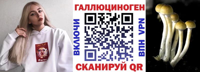 Псилоцибиновые грибы Psilocybine cubensis  купить   Петровск 