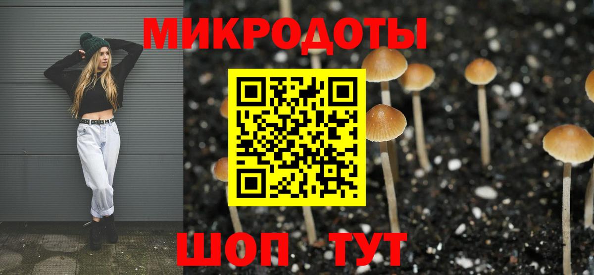 Галлюциногенные грибы MAGIC MUSHROOMS  Вход с VPN  Петровск  Галлюциногенные грибы Psilocybe 